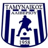 Ταμιναϊκός