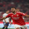 Συντηρητικά στη Γαλλική Ριβιέρα