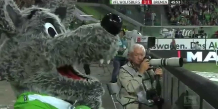 wolf.jpg