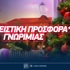 🎄 Χριστουγεννιάτικη προσφορά* γνωριμίας από την Elabet (Αποκλειστικό)