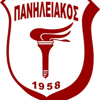 Πανηλειακός